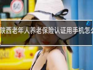 陕西老年人养老保险认证用手机怎么认证