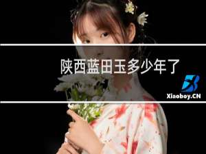 陕西蓝田玉多少年了