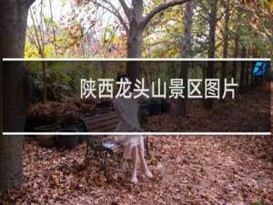 陕西龙头山景区图片