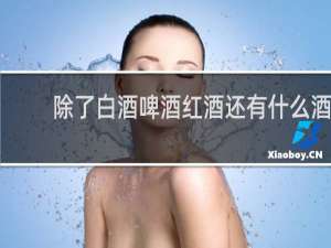 除了白酒啤酒红酒还有什么酒