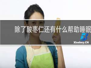 除了酸枣仁还有什么帮助睡眠