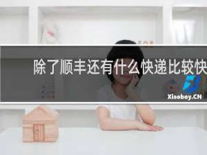 除了顺丰还有什么快递比较快