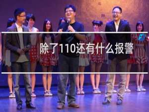 除了110还有什么报警方式