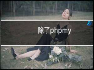 除了phpmy，如何操作网站数据库