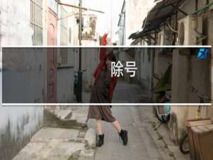 除号 ÷号代表着畜生什么梗