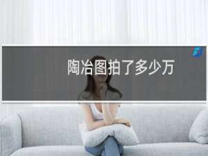 陶冶图拍了多少万