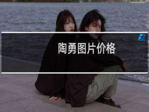 陶勇图片价格