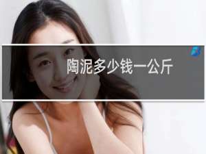 陶泥多少钱一公斤