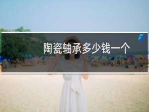 陶瓷轴承多少钱一个