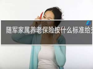 随军家属养老保险按什么标准给交的