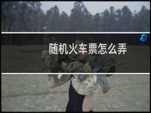 随机火车票怎么弄