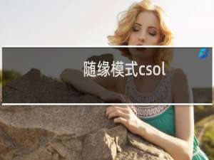 随缘模式csol