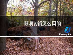 随身wifi怎么用的（随身wifi怎么用）