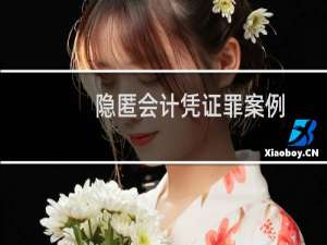 隐匿会计凭证罪案例