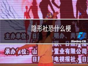 隐形社恐什么梗