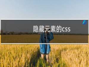 隐藏元素的css