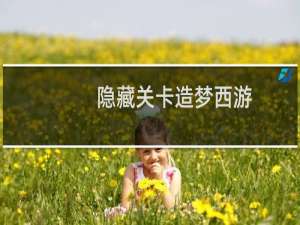 隐藏关卡造梦西游