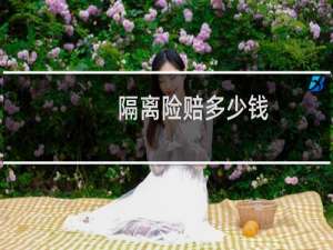 隔离险赔多少钱
