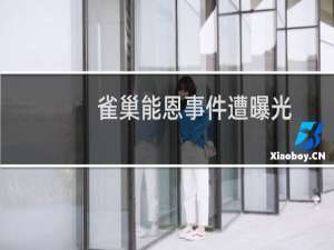 雀巢能恩事件遭曝光（雀巢能恩最新事件）