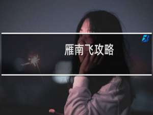 雁南飞攻略