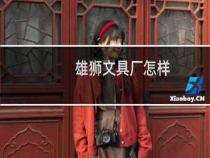 雄狮文具厂怎样