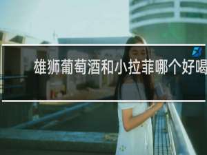 雄狮葡萄酒和小拉菲哪个好喝