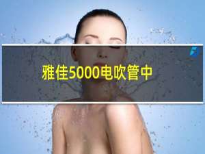 雅佳5000电吹管中文使用说明书（雅佳AKAI是哪个国家的品牌）
