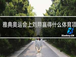 雅典奥运会上刘翔赢得什么体育项目的