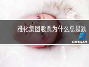 雅化集团股票为什么总是跌