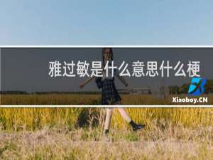 雅过敏是什么意思什么梗