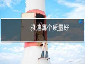 雅迪哪个质量好