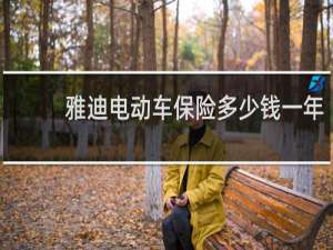 雅迪电动车保险多少钱一年