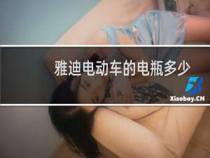 雅迪电动车的电瓶多少钱（雅迪电动车的电瓶多少钱一组）