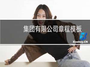 集团有限公司章程模板