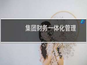 集团财务一体化管理