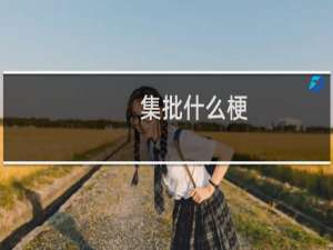 集批什么梗