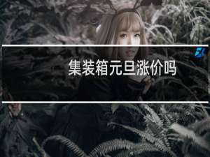 集装箱元旦涨价吗