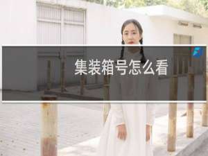 集装箱号怎么看