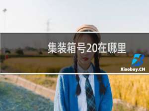 集装箱号 在哪里