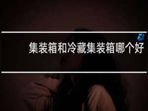集装箱和冷藏集装箱哪个好