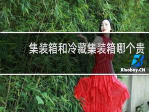 集装箱和冷藏集装箱哪个贵