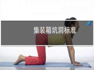 集装箱坑洞标准