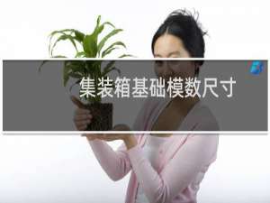 集装箱基础模数尺寸