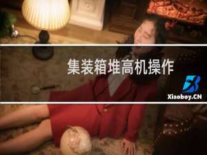 集装箱堆高机操作