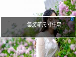 集装箱尺寸住宅