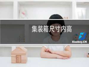 集装箱尺寸内高