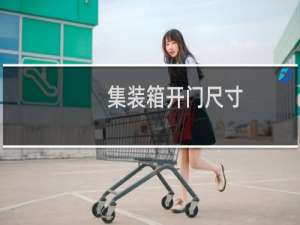 集装箱开门尺寸