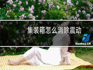 集装箱怎么消除震动