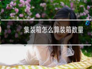 集装箱怎么算装箱数量