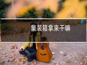 集装箱拿来干嘛